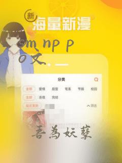 sm np po文