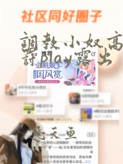 调教小奴高潮惩罚play露出