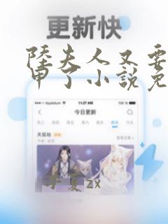 陆夫人又要换马甲了小说免费阅读