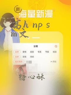 高h np sm文