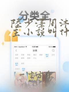 陆少泽周沐双男主小说叫什么名字