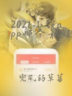 2021小说app哪个最好