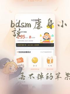 bdsm虐身小说