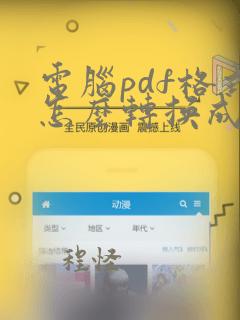 电脑pdf格式怎么转换成word文档