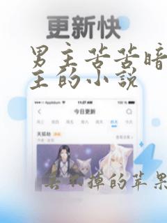 男主苦苦暗恋女主的小说