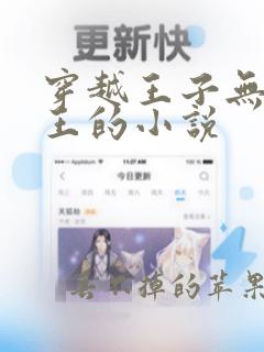 穿越王子无敌兵王的小说