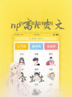 np高h爽文