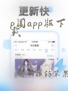 p图app版下载