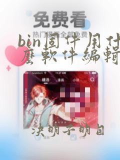 bin固件用什么软件编辑