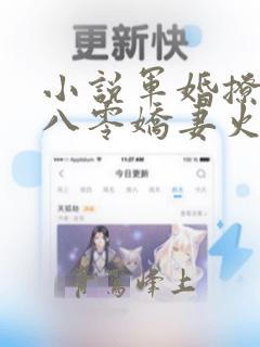 小说军婚撩人:八零娇妻火辣辣阅读