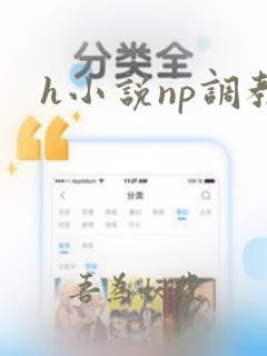 h小说np调教