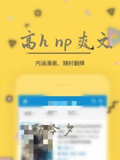 高h np爽文