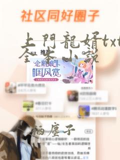 上门龙婿txt全本小说