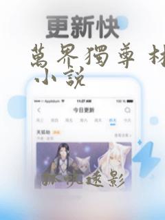 万界独尊 林枫 小说