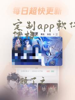 定制app软件价格