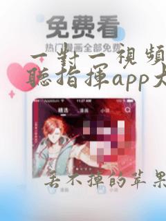 一对一视频聊天听指挥app大全