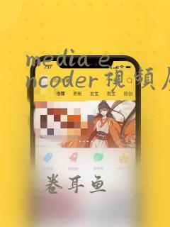 media encoder视频压缩