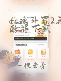 fc魂斗罗2无敌版下载