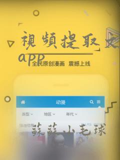 视频提取文字的app