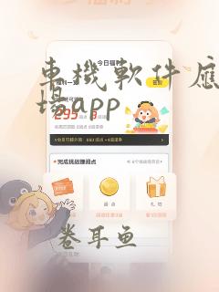 车机软件应用市场app