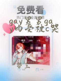 gay男男gay肉受被c哭