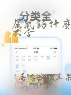 属鼠的什么属相不合