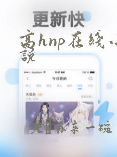 高hnp在线小说