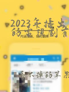 2023年播出的电视剧有哪些