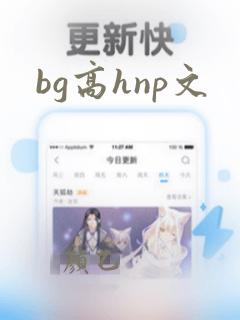 bg高hnp文