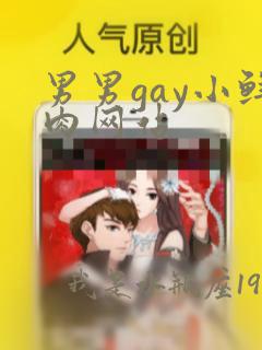 男男gay小鲜肉网站