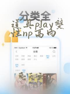 道具play双性np高肉