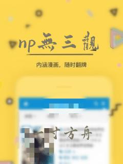 np无三观