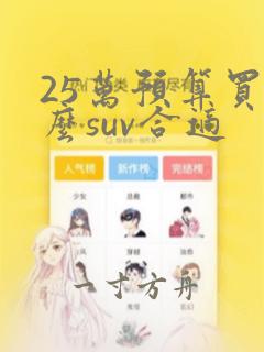 25万预算买什么suv合适