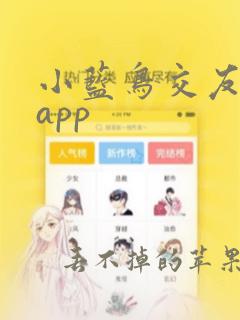 小蓝鸟交友软件app