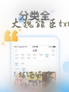 大魏能臣txt