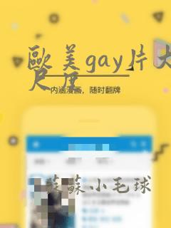 欧美gay片大尺度