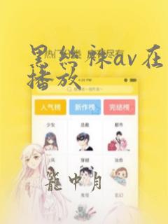 黑丝袜av在线播放