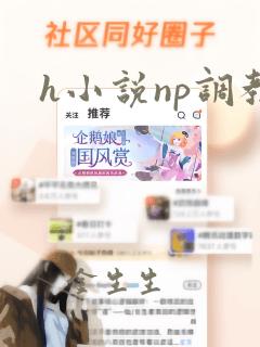 h小说np调教