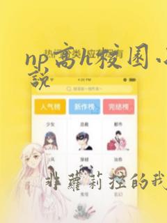 np高h校园小说