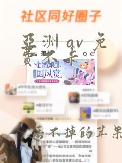 亚洲 av 免费不卡