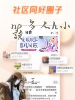 np 多人h小说