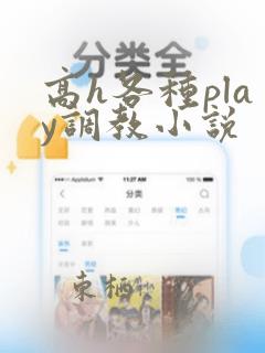 高h各种play调教小说