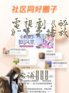 电视剧《醉玲珑》免费播放