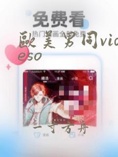 欧美男同videso