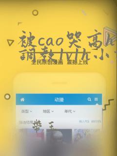 被cao哭高h调教1v1h小说