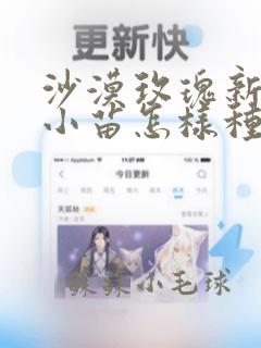 沙漠玫瑰新买的小苗怎样种植