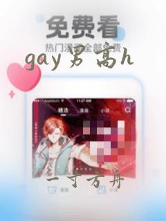 gay男高h