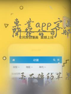 专业app定制开发公司哪家好