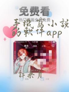 手机写小说赚钱的软件app