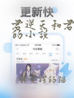 君逆天和君无邪的小说